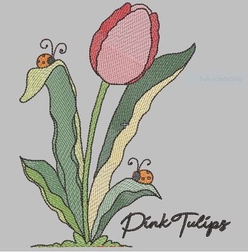 Pink Tulips Pink Tulips