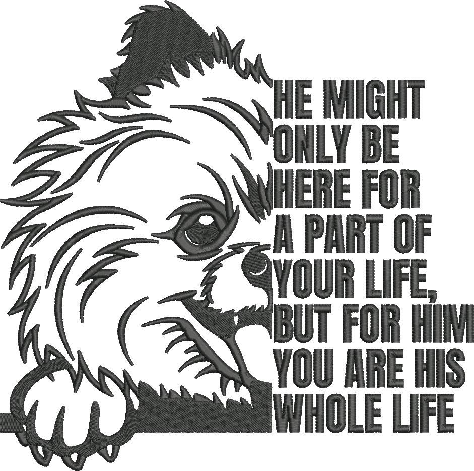 Pomeranian Dog Quote Pomeranian Dog Quote