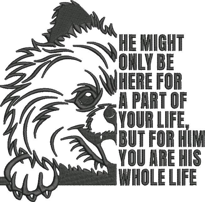 Pomeranian Dog Quote Pomeranian Dog Quote