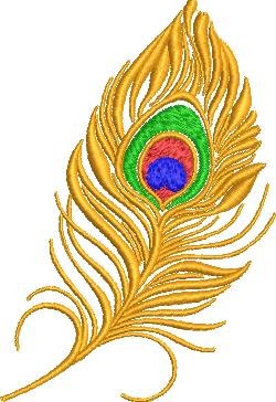 Peacock Feather Peacock Feather