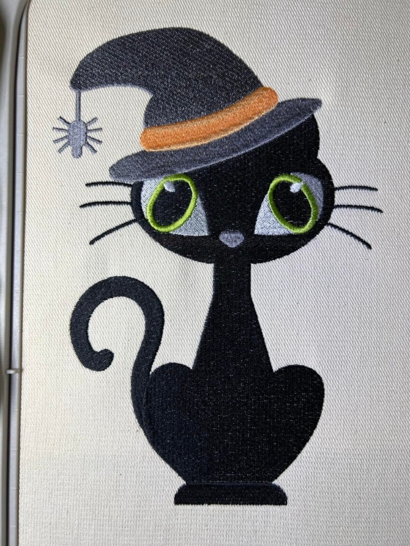 Halloween Cat In Hat