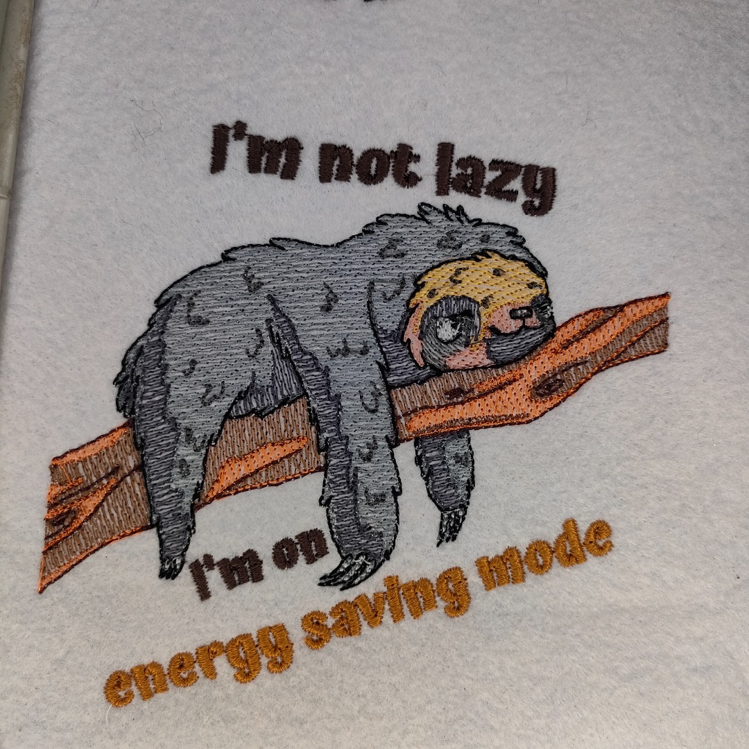 I'm Not lazy I'm Not lazy