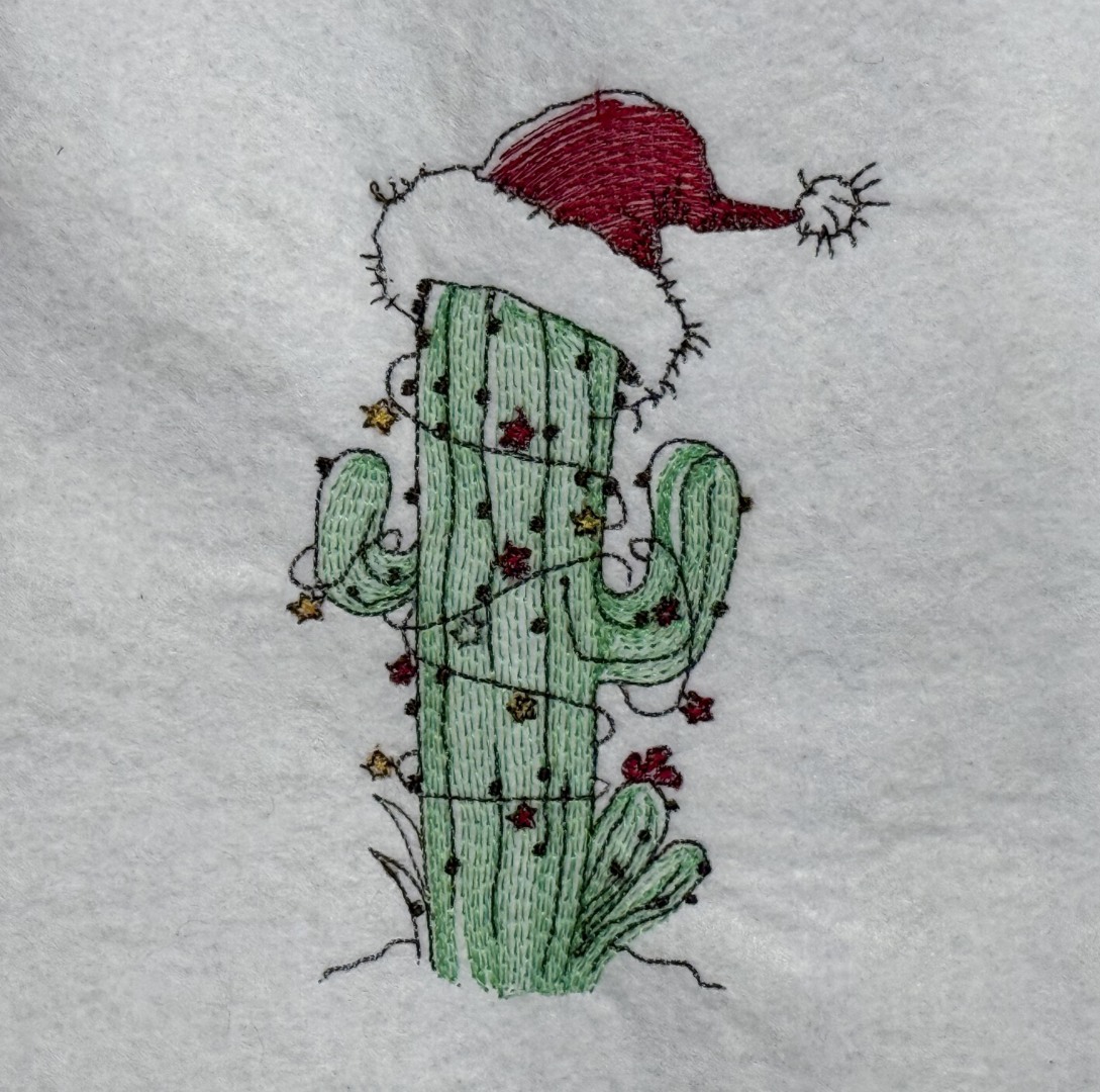Cactus With Santa Hat Cactus With Santa Hat