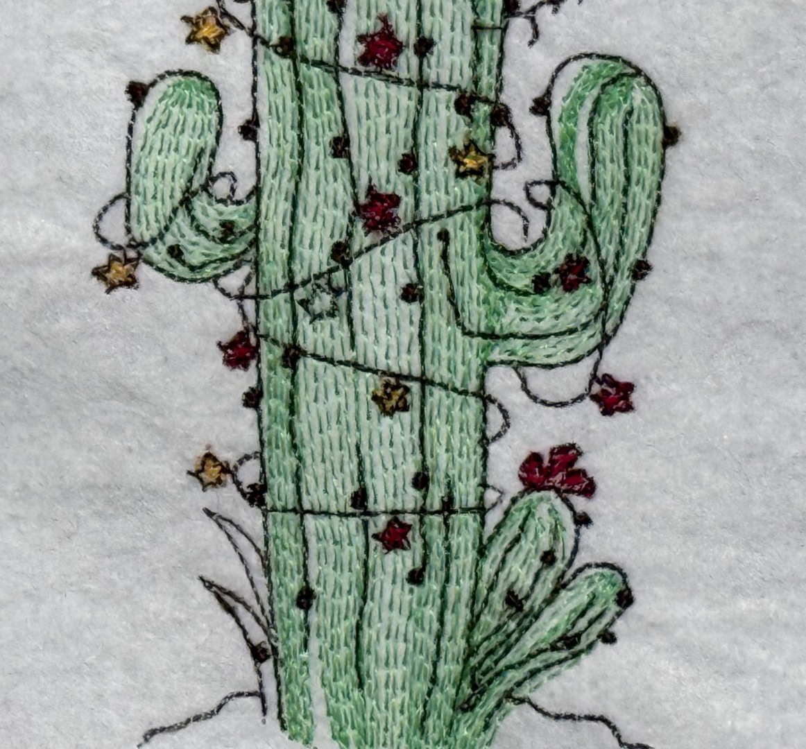 Cactus With Santa Hat