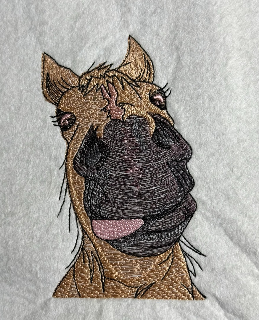 Silly Horse Face