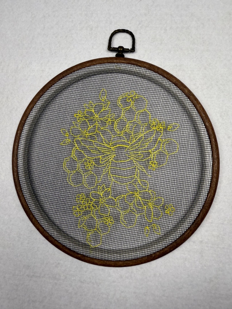 Honey Bee Comb