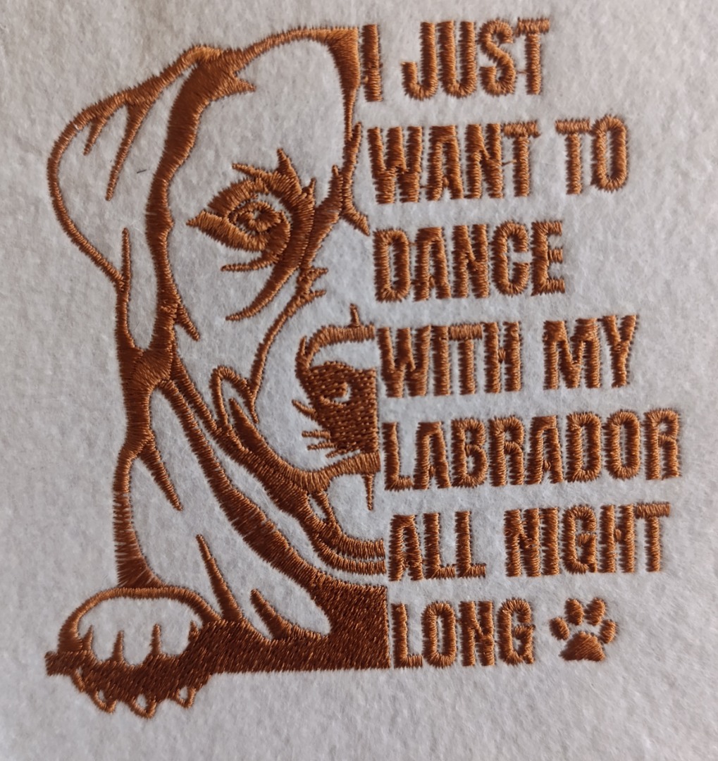 Dance With My Labrador Dog Dance With My Labrador Dog