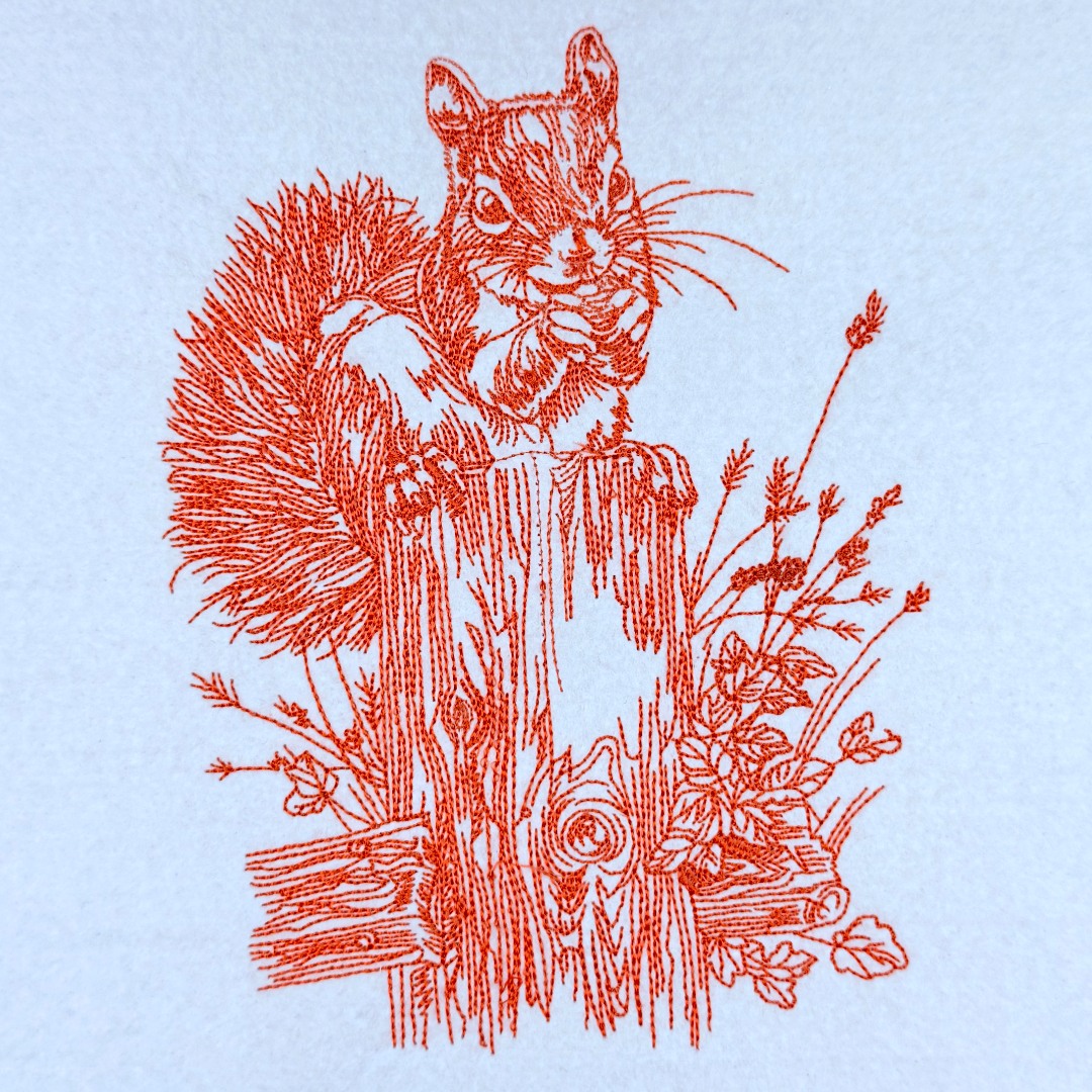 Squirrel Line Art Squirrel Line Art