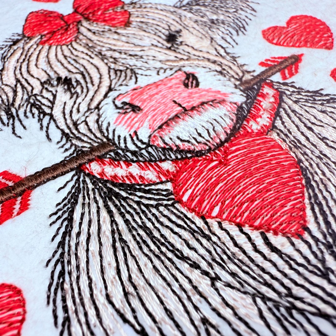 Valentine's Highland Cow