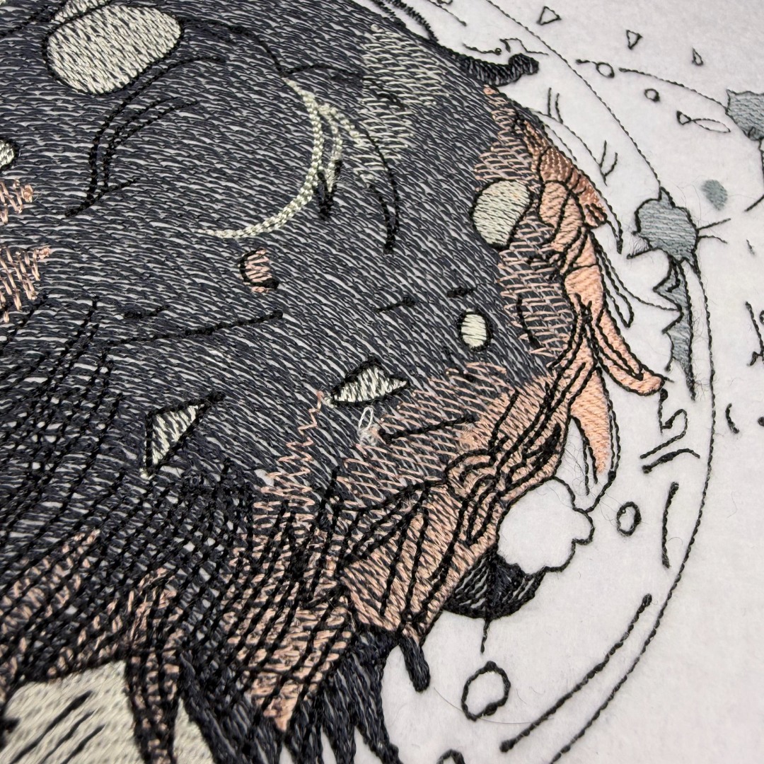 Cosmic Stargazer