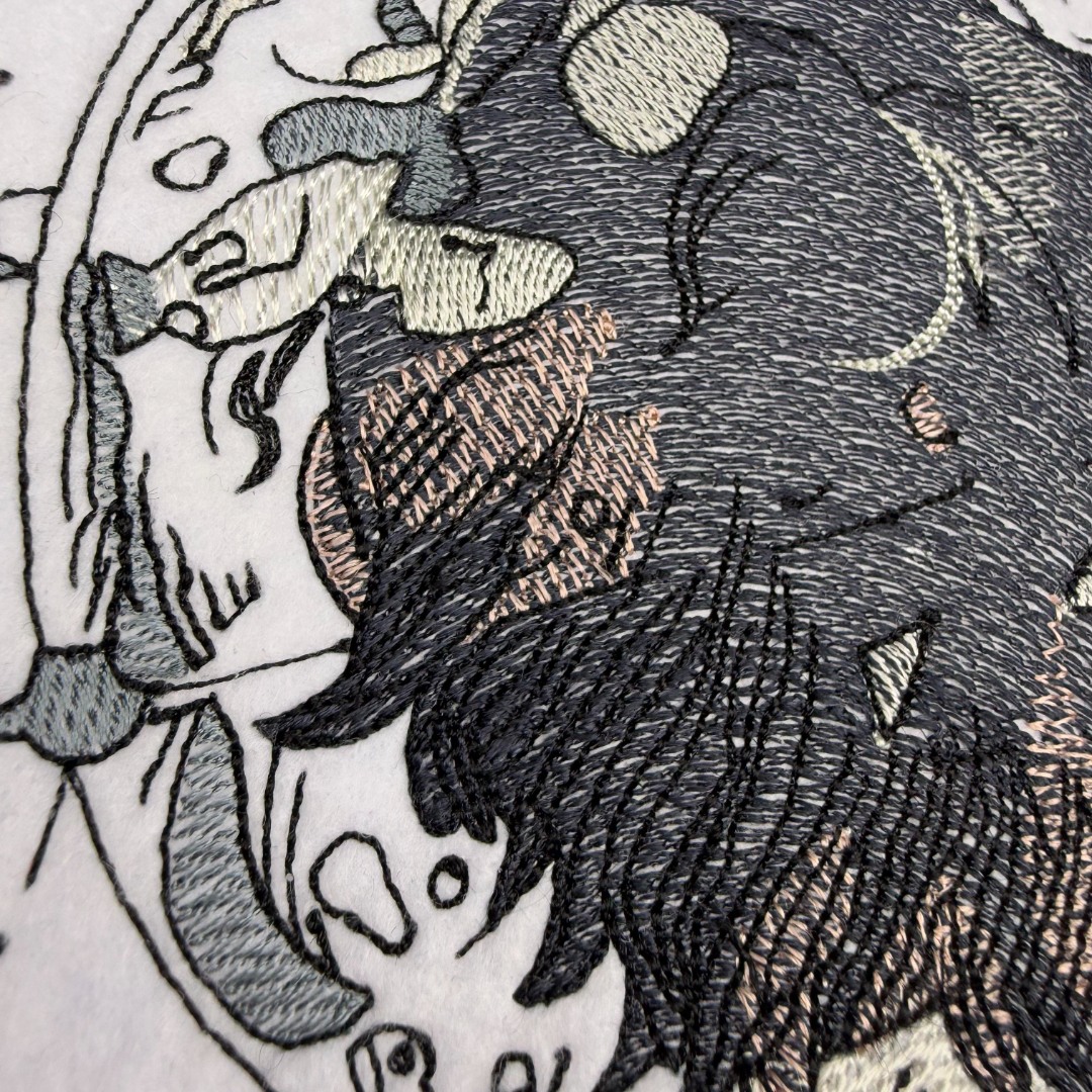 Cosmic Stargazer