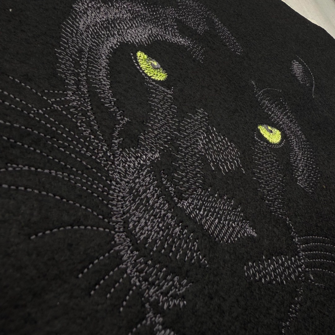 Panther Face Panther Face