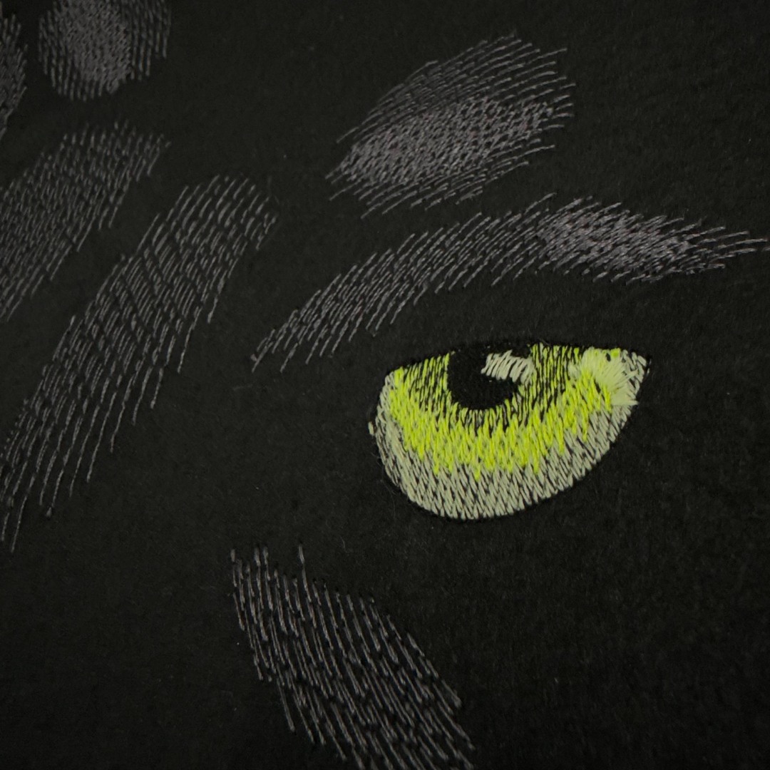 Panther Eyes Panther Eyes