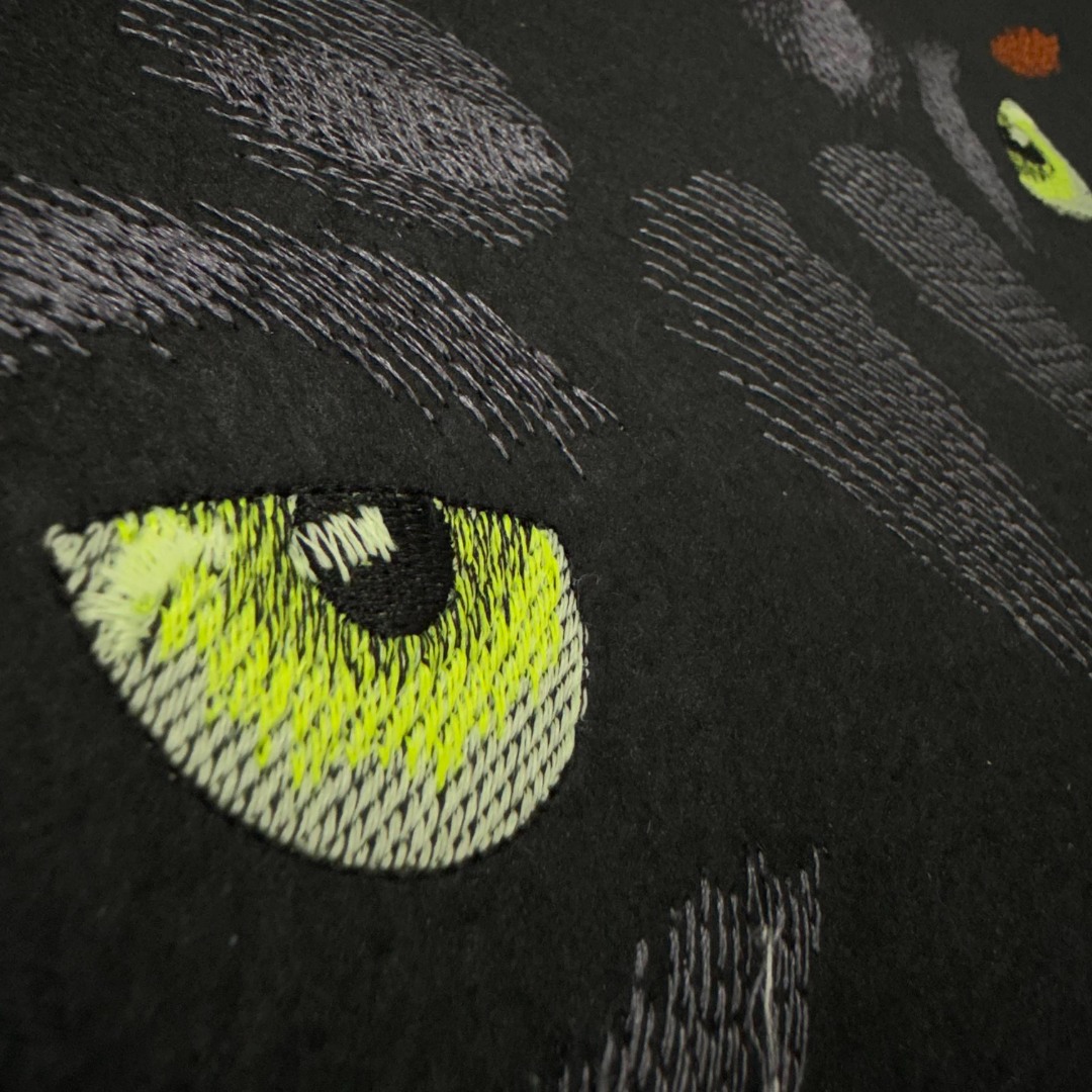 Panther Eyes Panther Eyes