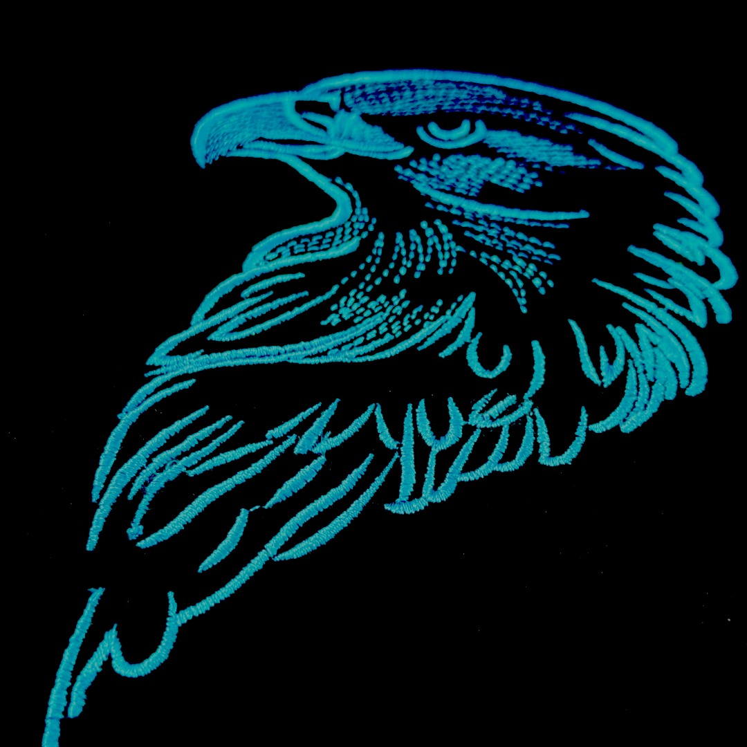 Bald Eagle Bald Eagle