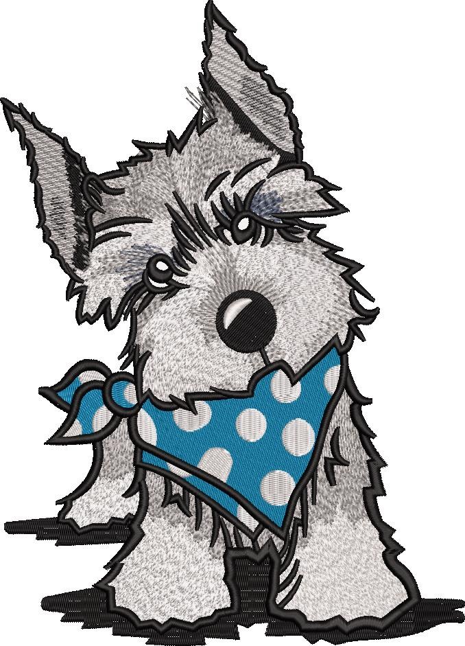 Schnauzer Pup Schnauzer Pup
