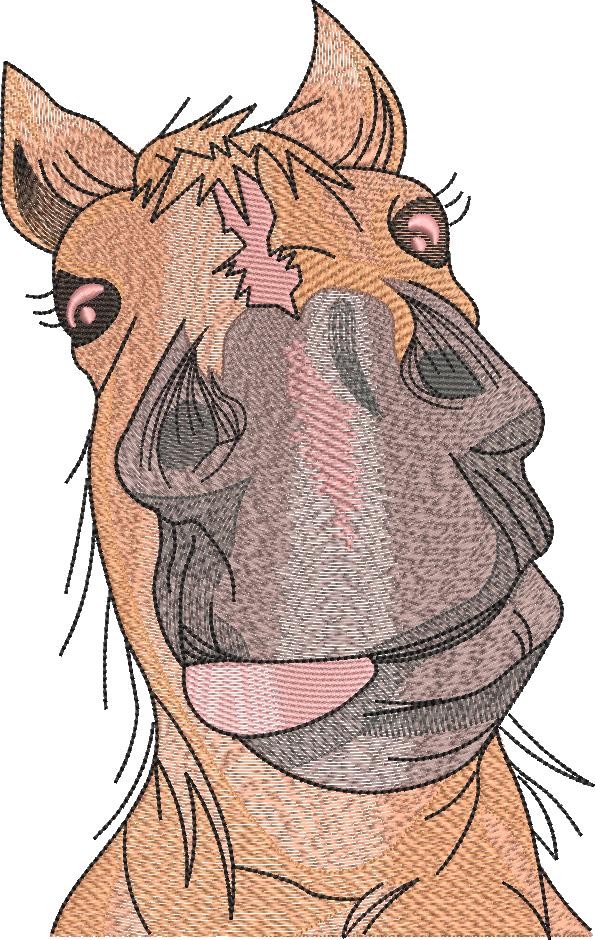 Silly Horse Face Silly Horse Face