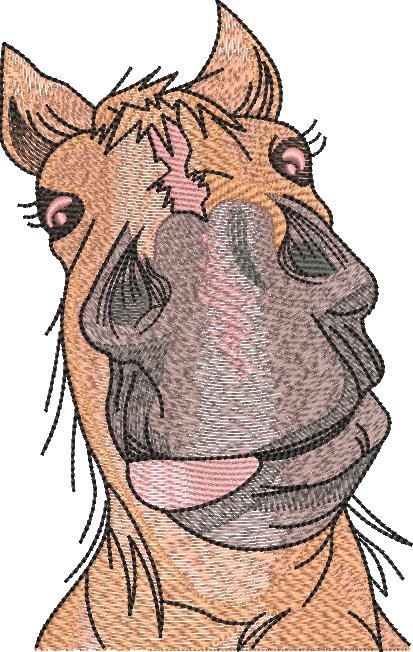 Silly Horse Face Silly Horse Face