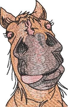 Silly Horse Face Silly Horse Face