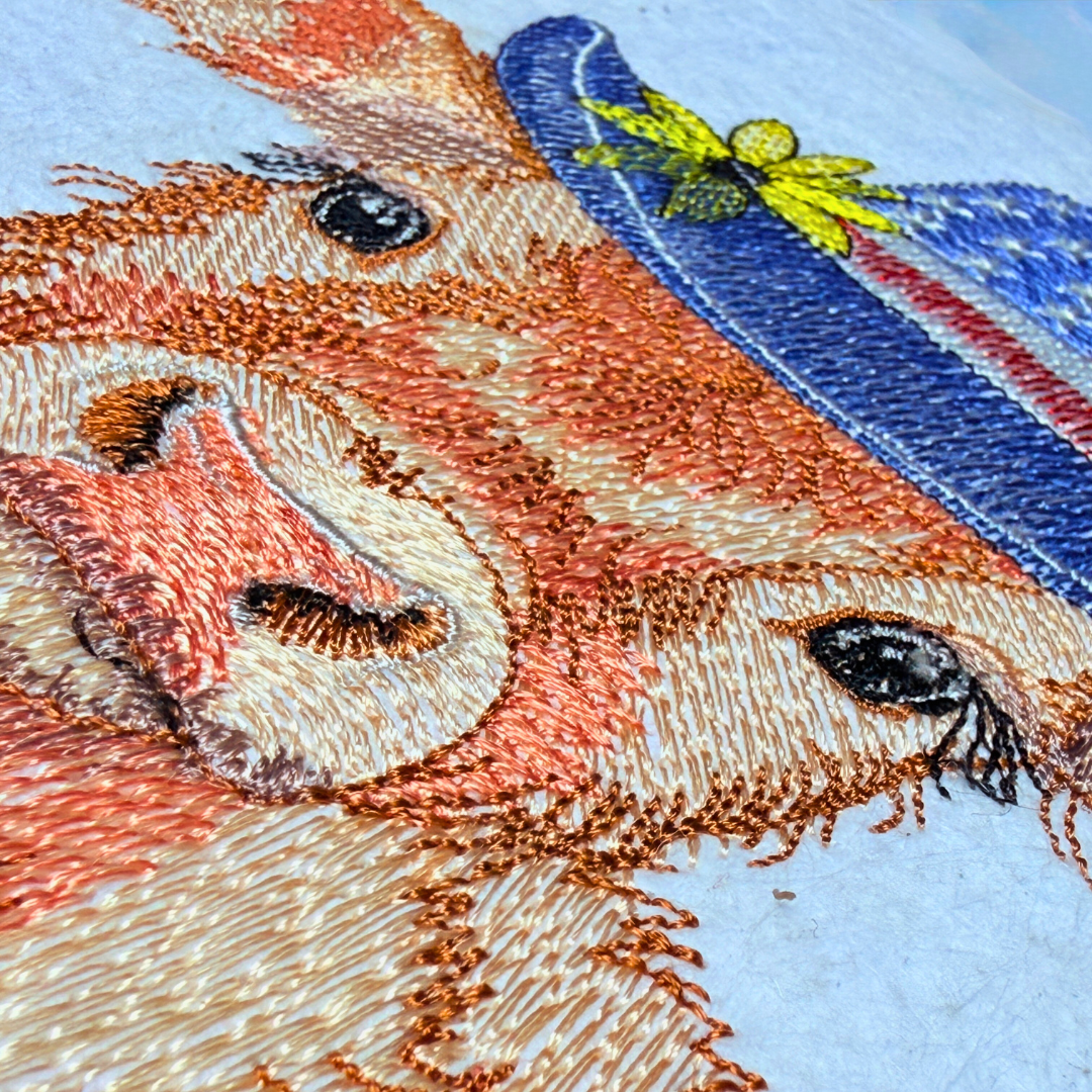 Patriotic Highland Cow 