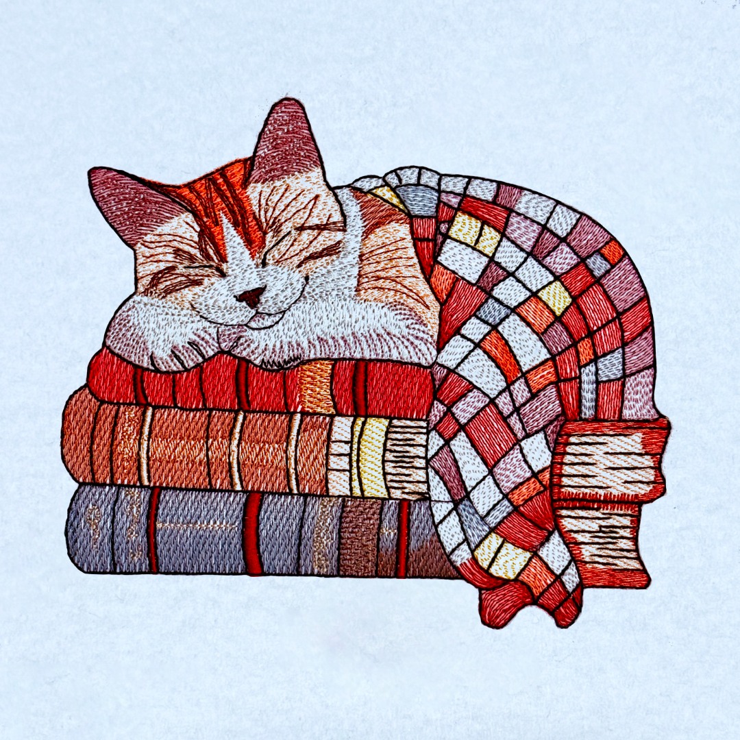 Cat Sleeping On Books Cat Sleeping On Books
