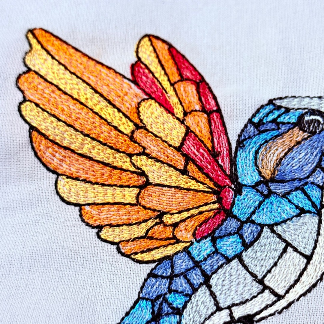 Colorful Hummingbird Colorful Hummingbird