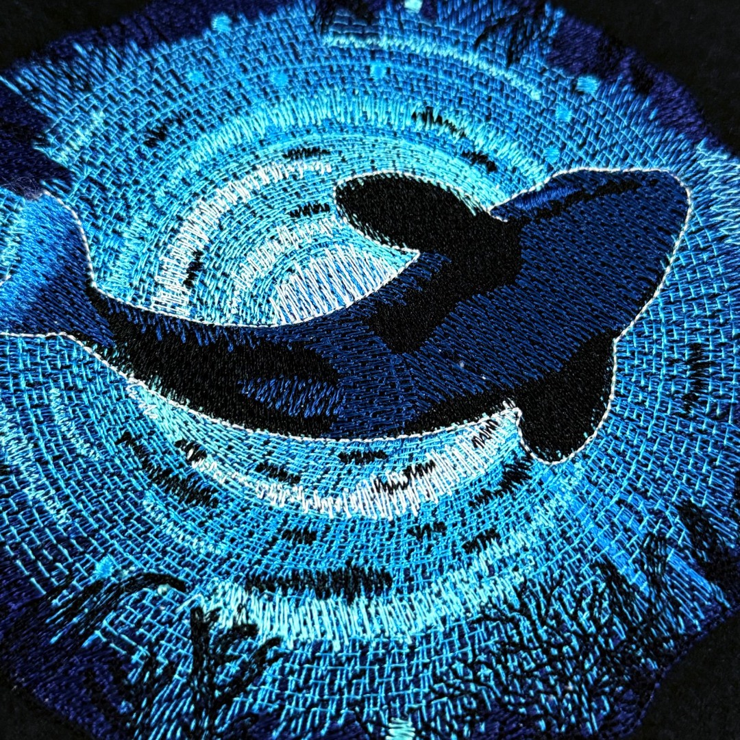 Whale In The Ocean Whale In The Ocean