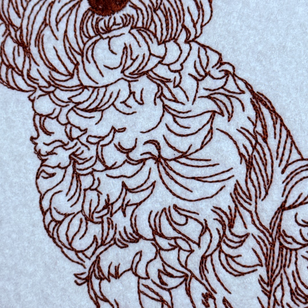 Cockapoo Line Art Cockapoo Line Art