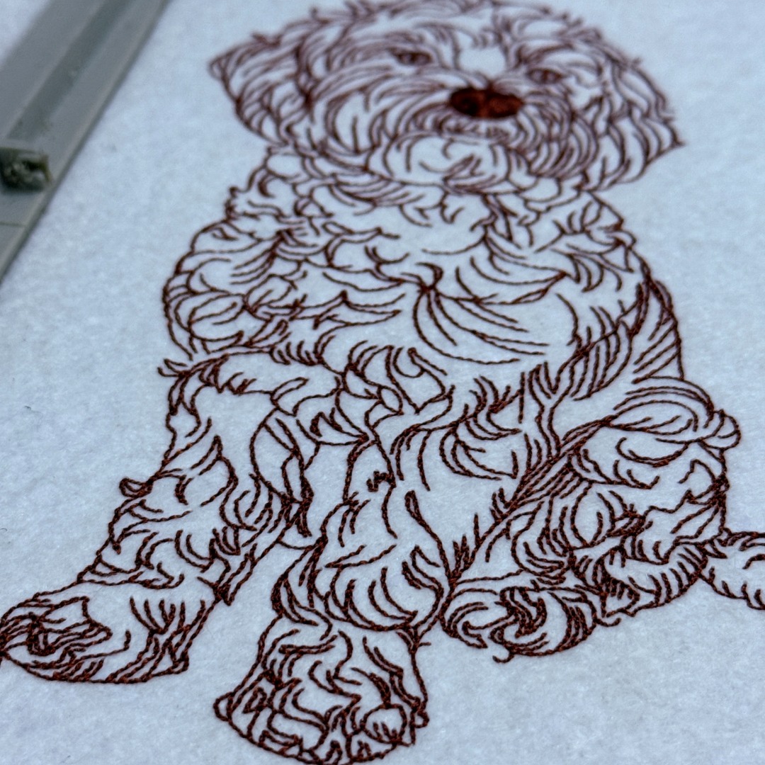 Cockapoo Line Art Cockapoo Line Art