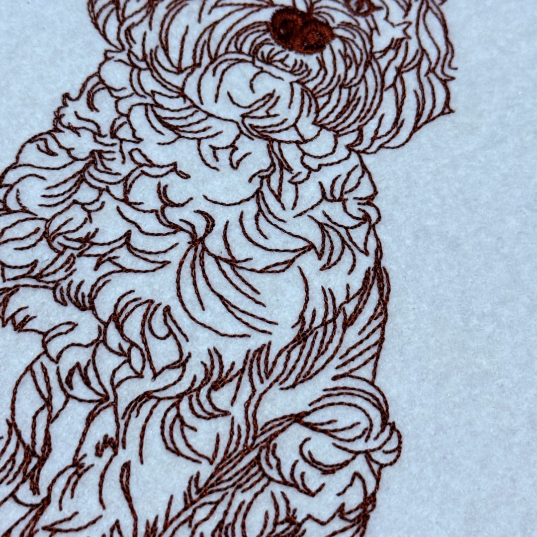 Cockapoo Line Art Cockapoo Line Art