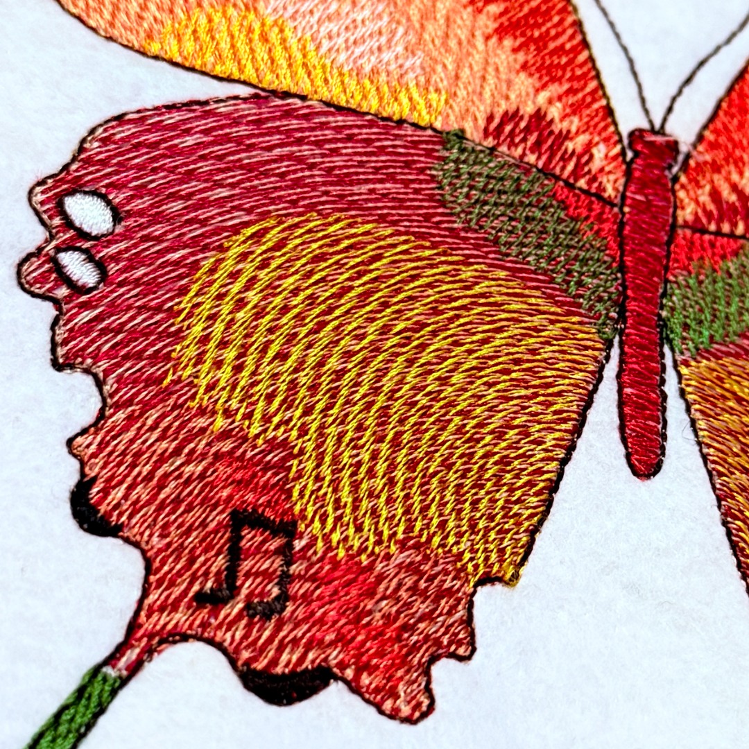 Musical Butterfly Musical Butterfly