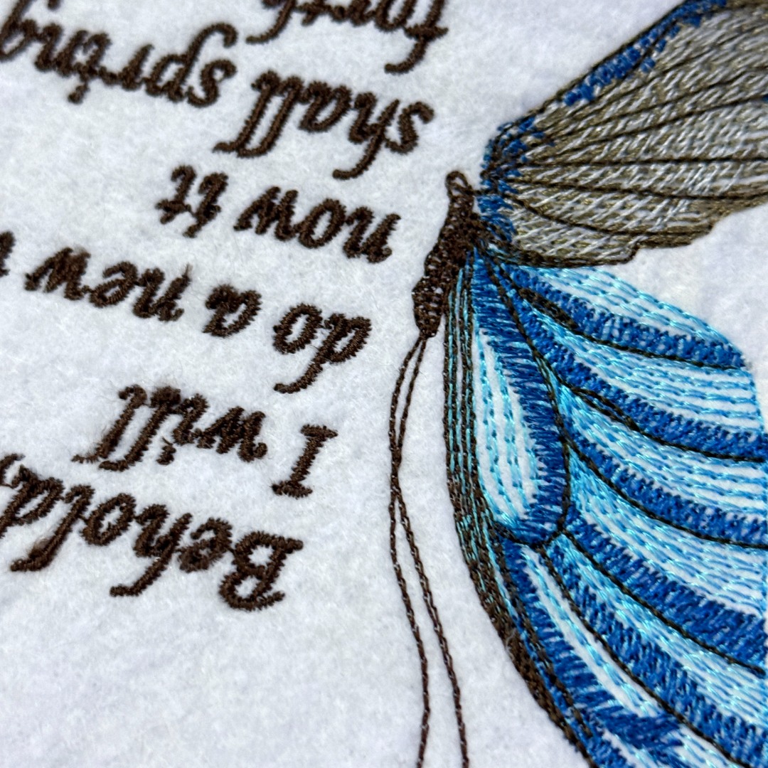 A New Thing Butterfly Quote A New Thing Butterfly Quote