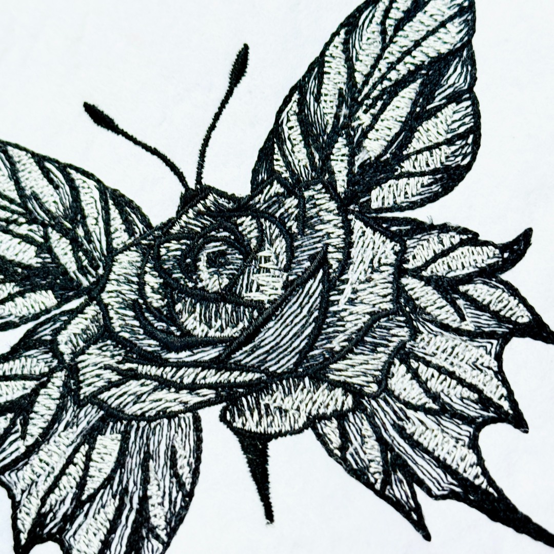 Rose Butterfly Rose Butterfly