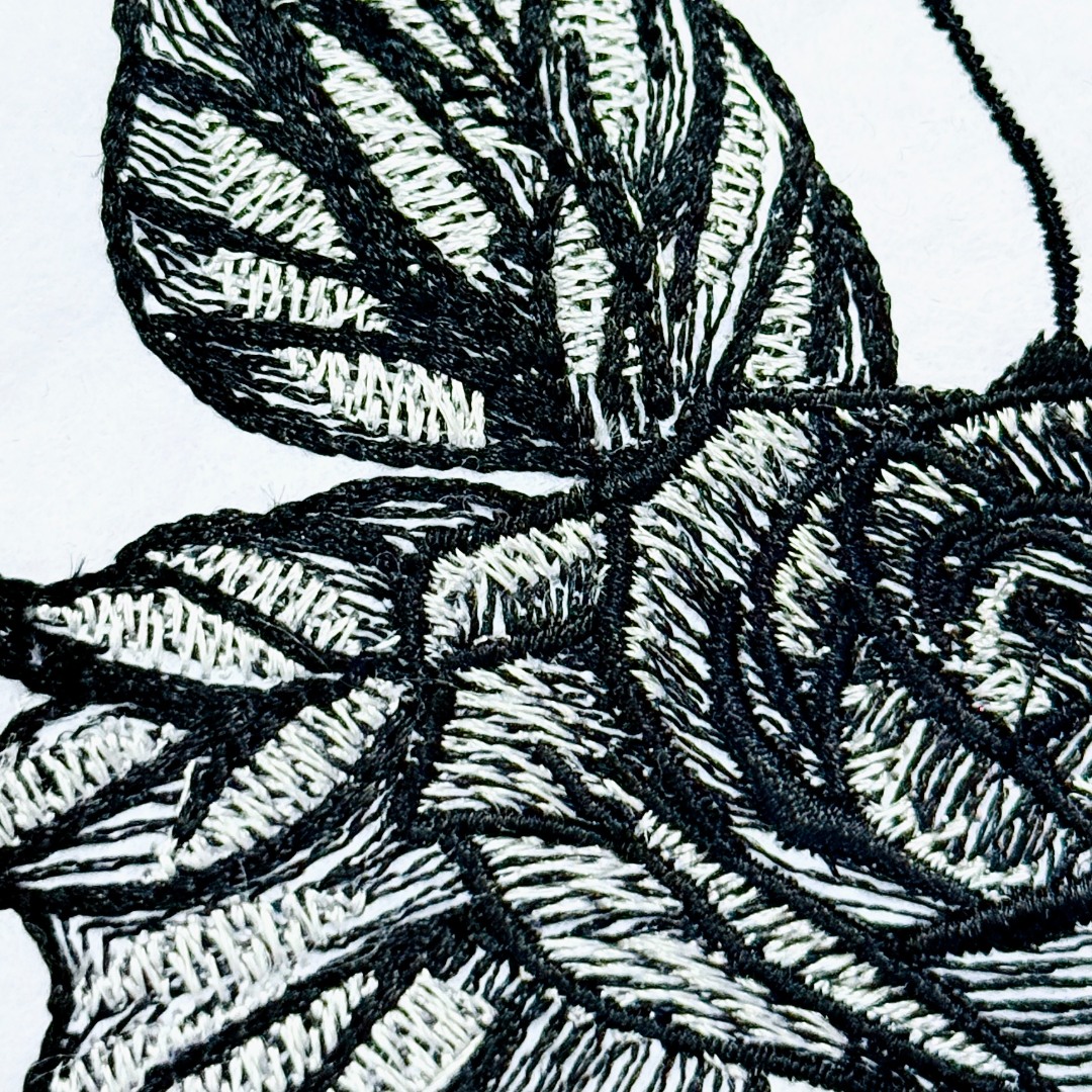 Rose Butterfly Rose Butterfly