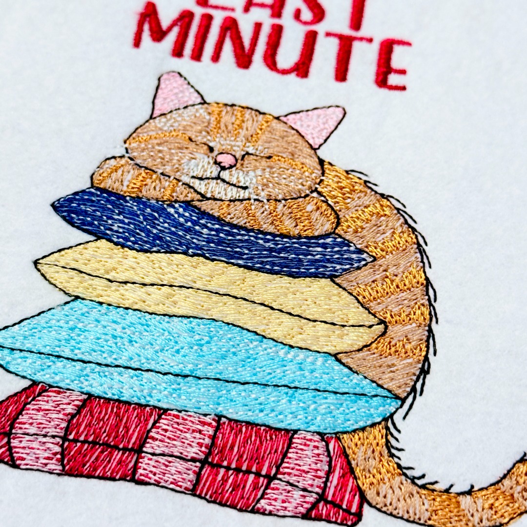 Don't Rush Me Funny Cat Saying