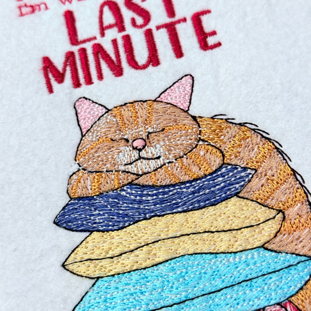 Don't Rush Me Funny Cat Saying
