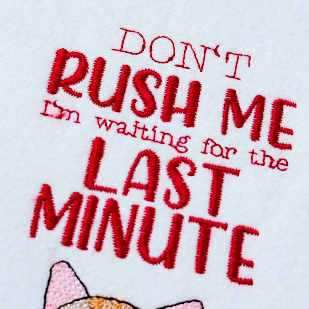 Don't Rush Me Funny Cat Saying