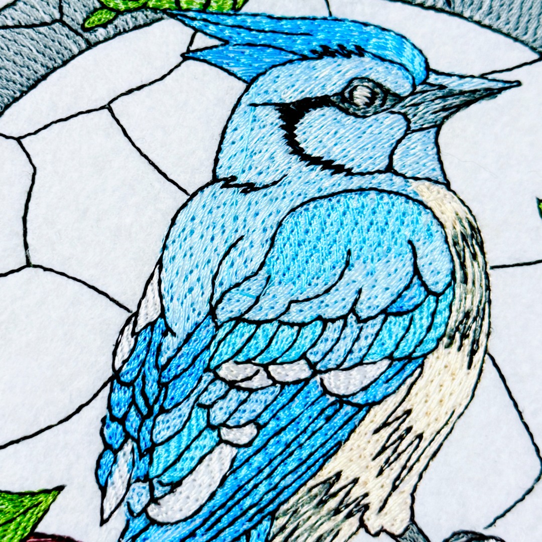 Blue Jay In Nature