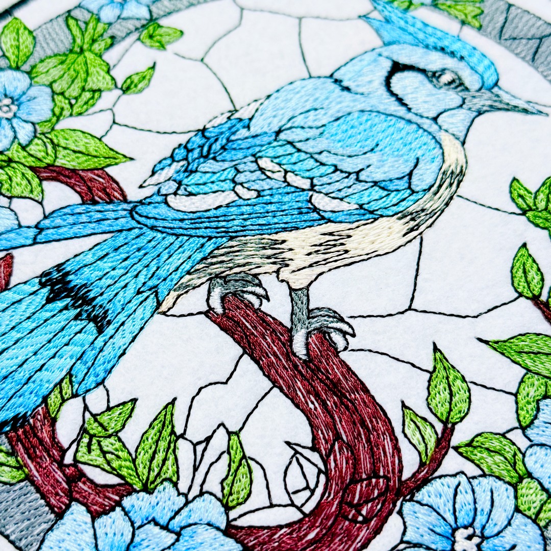 Blue Jay In Nature
