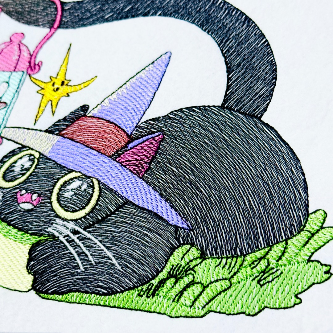 Magical Black Cat With Lantern