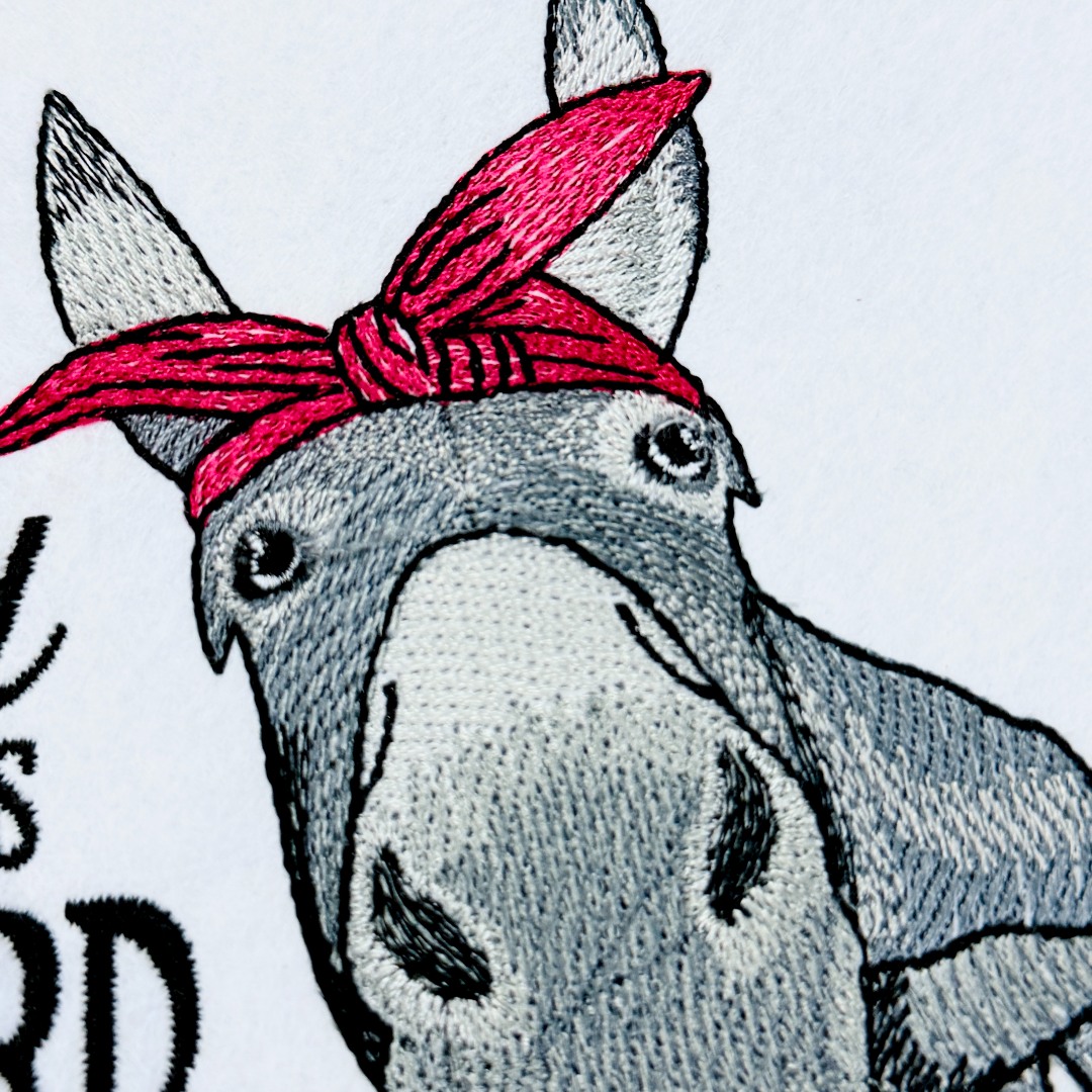 I Rolled My Eyes Funny Donkey Saying