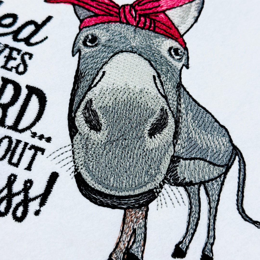 I Rolled My Eyes Funny Donkey Saying