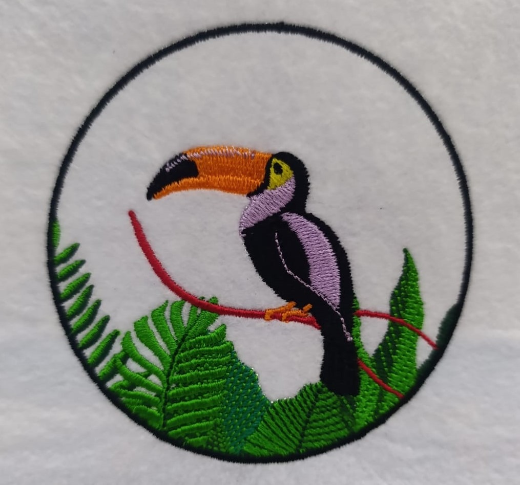 Toucan Bird Toucan Bird