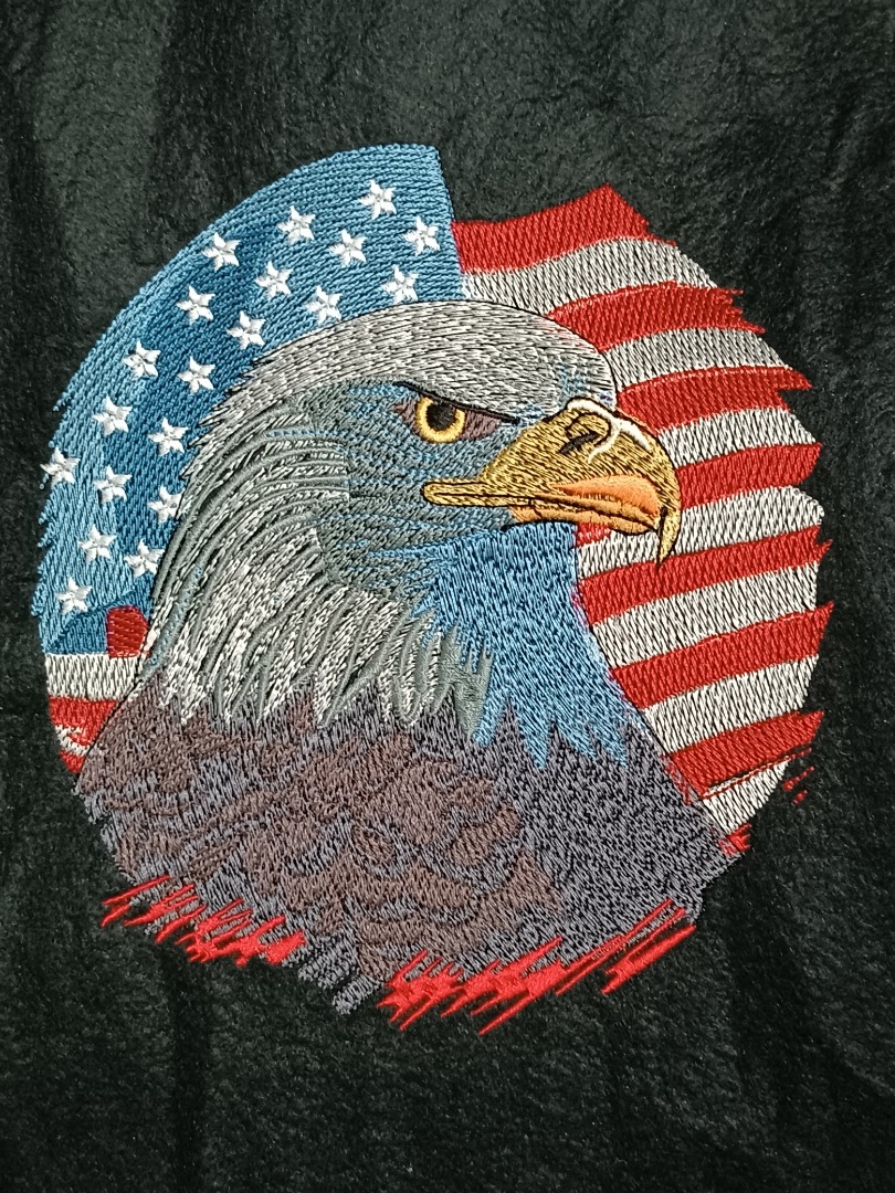 American Bald Eagle American Bald Eagle