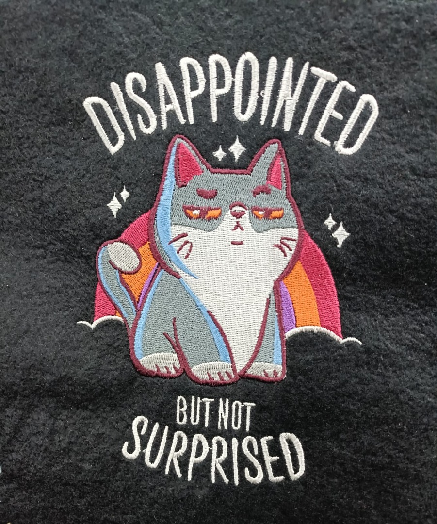 Disappointed But Not Surprised Cat