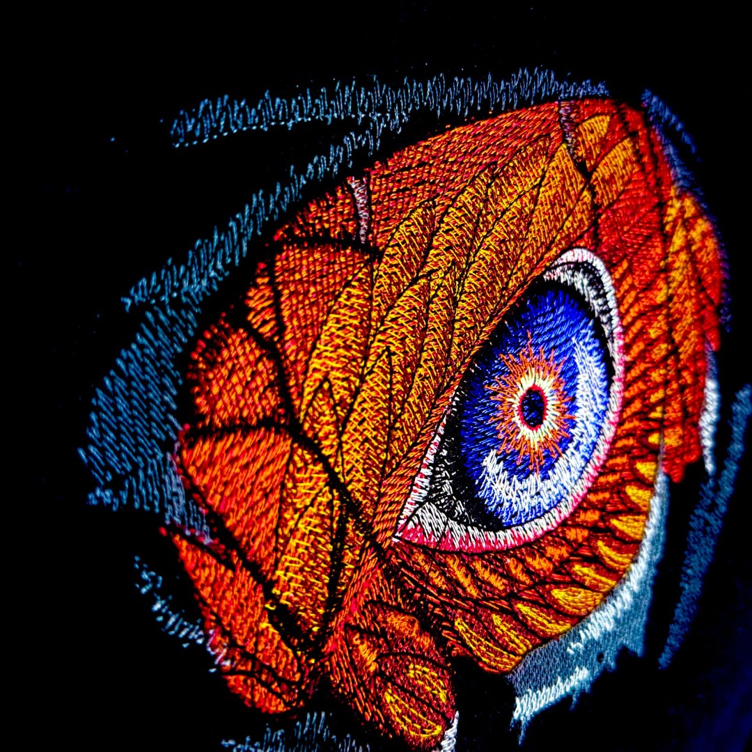 Flaming Phoenix Eye Flaming Phoenix Eye