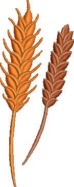 Wheat Embroidery Design Wheat Embroidery Design