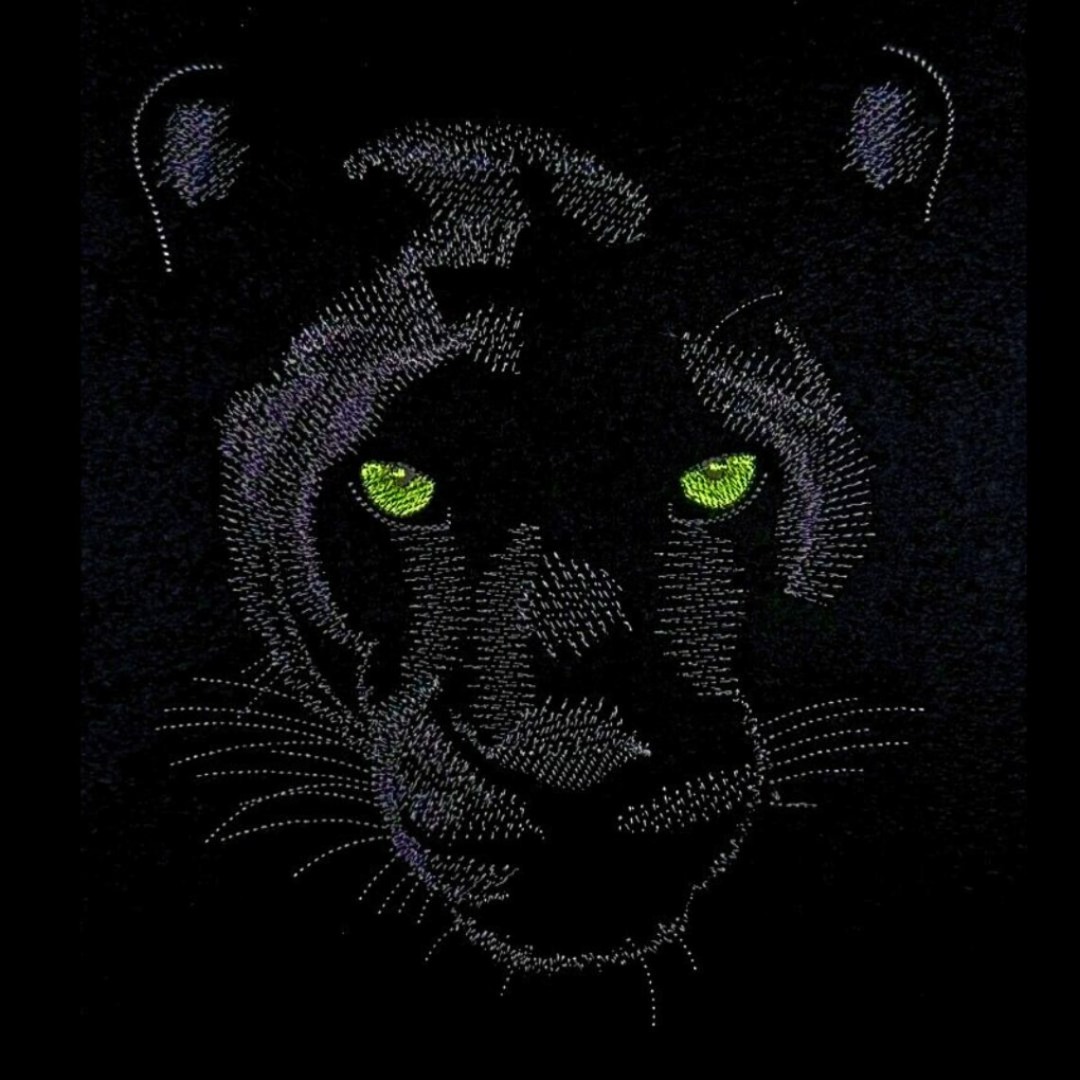 Panther Face Panther Face