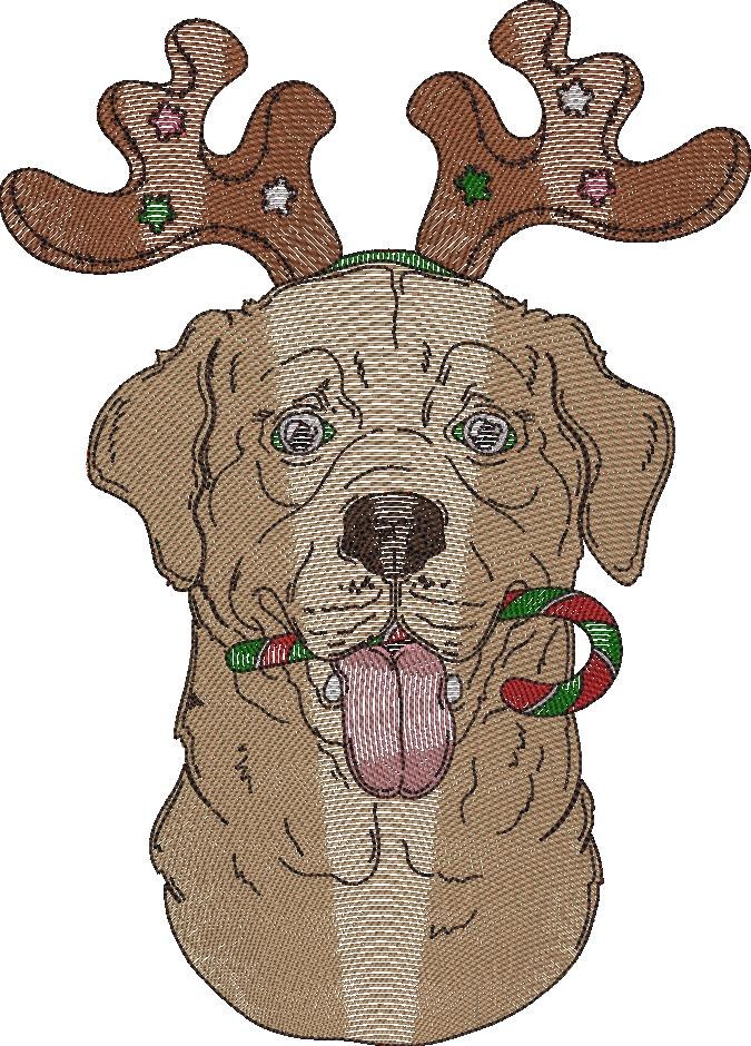 Christmas Dog Christmas Dog