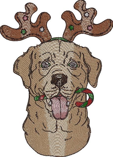 Christmas Dog Christmas Dog